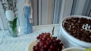 Сушка ВИНОГРАДА на изюм
