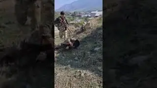 Ermənilər təslim oldu. Ordumuz əsir götürdü