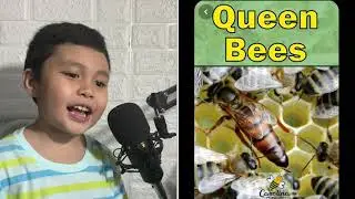 Informative Talk - Life of Bees
