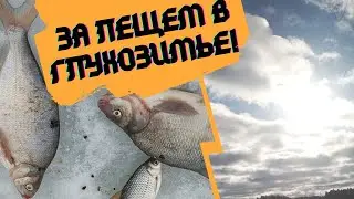 В глухозимье за лещем!