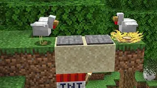 This chicken is too smart