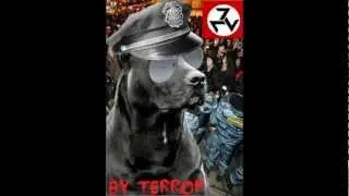 Terror ВКачал 2х петухов