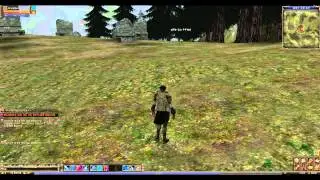 Lineage 2 Classic фарм ботов