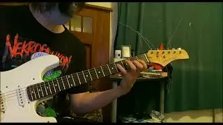 Deafheaven | Sunbather Guitar Cover