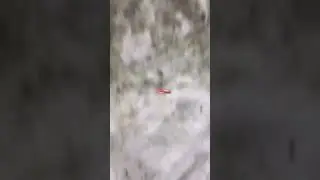 Крузак🥵