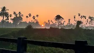 📌📌জায়গাটা দেখো একবার📌📌|| North Bengal 🫠😘