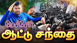 மேச்சேரி ஆடு சந்தை| Mecheri Wednesday Goat Market | veejayLifestyle