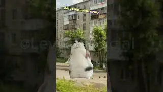 вот зачем нам нужна школа🤨🤔