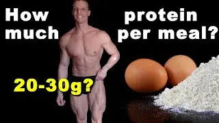 How Much Protein Can You Absorb In One Meal? | How Much Protein Do You Need?