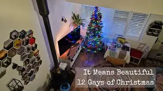 It Means Beautiful - 12 Gays of Christmas charity cover
