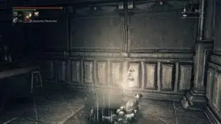 Bloodborne™ фарм крови, пули и успокоительного на студентах