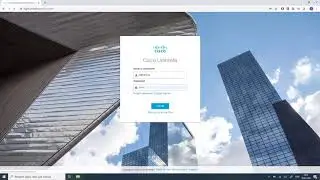 Guideline (часть 2): процесс установки Cisco Umbrella