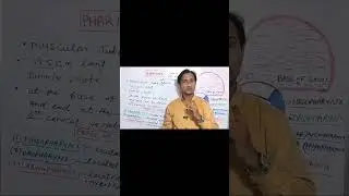 Laryngopharynx In Hindi#shorts#viralvideo#viralshorts