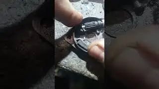ху(н)скварна 2 часть
