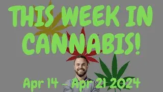 This Week in Cannabis News - April 15th to April 21 2024 - Happy 420 Y'all