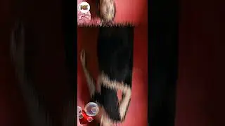 Naagin 6 - Tejasswi Prakash Awesome Look With All Of Black Costume || Black Is Beautiful || #naagin6
