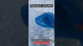 РЫБАЛКА НА САХАЛИНЕ 2024 | 17.02.24