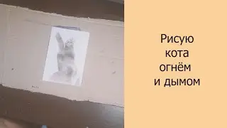 Рисую кота огнём и дымом #рисованиеогнем #рисованиедымом #рисую #арт #кот
