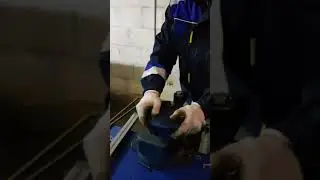 Гибка+валютка холодная ковка
