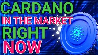 Cardano Founder Declares ADA as the Market Main Character: What This Means for Investors