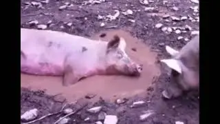 присоединяйся)))