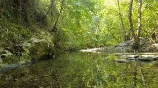 Nature Sounds - Mountain Stream Sounds