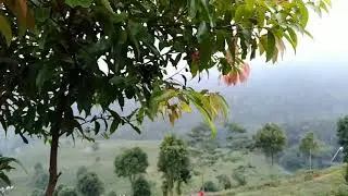 #Puncak #19 januari 2020,Minggu #Marcell #JanganPernahBerubah