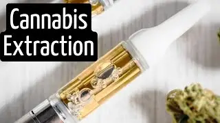 How is Medical Marijuana Extracted? The Medical Cannabis Extraction Process | Discover Marijuana