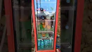 Турция отель Sunstar Beach в Алании - Пляж и  бар
