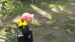 Chandigarh Bird Park near Sukhna lake 2021 | Bird park opens for visitors 2021 | 
