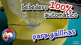 How to Make a Homemade Waterer for Hens, Roosters, and Chicks