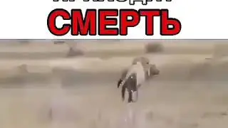 Как внезапно приходитсмерть