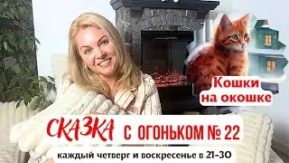 Женщинам, стоит поучиться грации, уважению к себе и блеску в глазах у кошек.