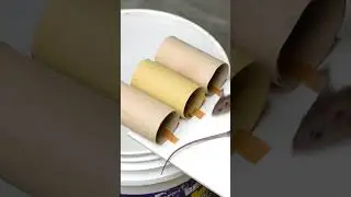 Easy Mouse Trap Bucket 
