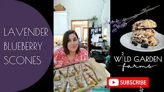 How to Make Lavender Blueberry Scones