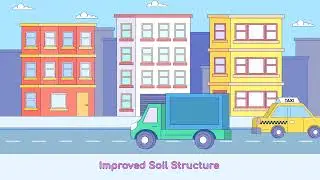 The Impact of Organic Farming Practices on Soil Quality and Biodiversity