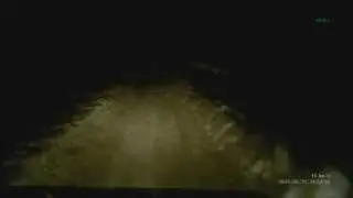 звук уаза