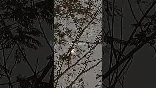 ku kira dia sayang ternyata harapanku yang terlalu tinggi