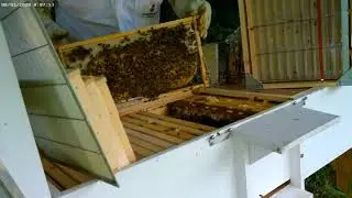 Horizontal Hives