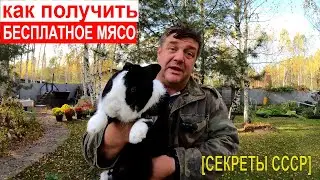 как получить БЕСПЛАТНОЕ МЯСО [СЕКРЕТЫ СССР]