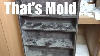 I came back from vacation to a ruined house :(