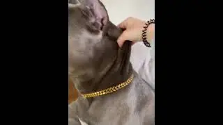 Очень смешной видос 🤣👍 #shorts