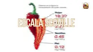 Descubre cómo se mide el picor de un chile