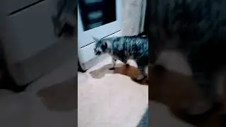А на районе едет дождь