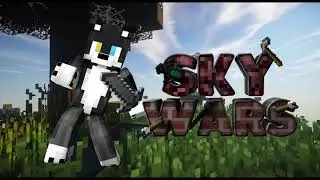 Efe Sezgin Sky Wars Thumbnail