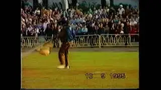 10 сентября 1995 года 1000 лет городу Владимиру, стадион Строитель