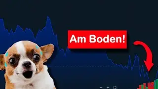 5 der BELIEBTESTEN Dividendenaktien sind am ENDE! 📉💥
