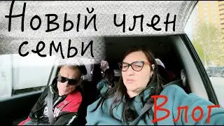 ПЕРЕЕЗД в Тюмень 😭 Дочка СЛЕЗАМИ додавила меня 🤕 я ПРОГНУЛАСЬ 🙄 ВЛОГ