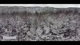 У зимы один большой плюс: её красивое начало! Остров Сахалин