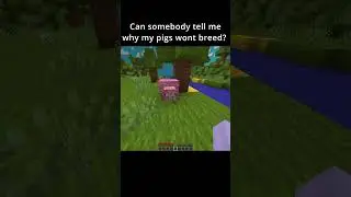 Minecraft Breeding Pigs